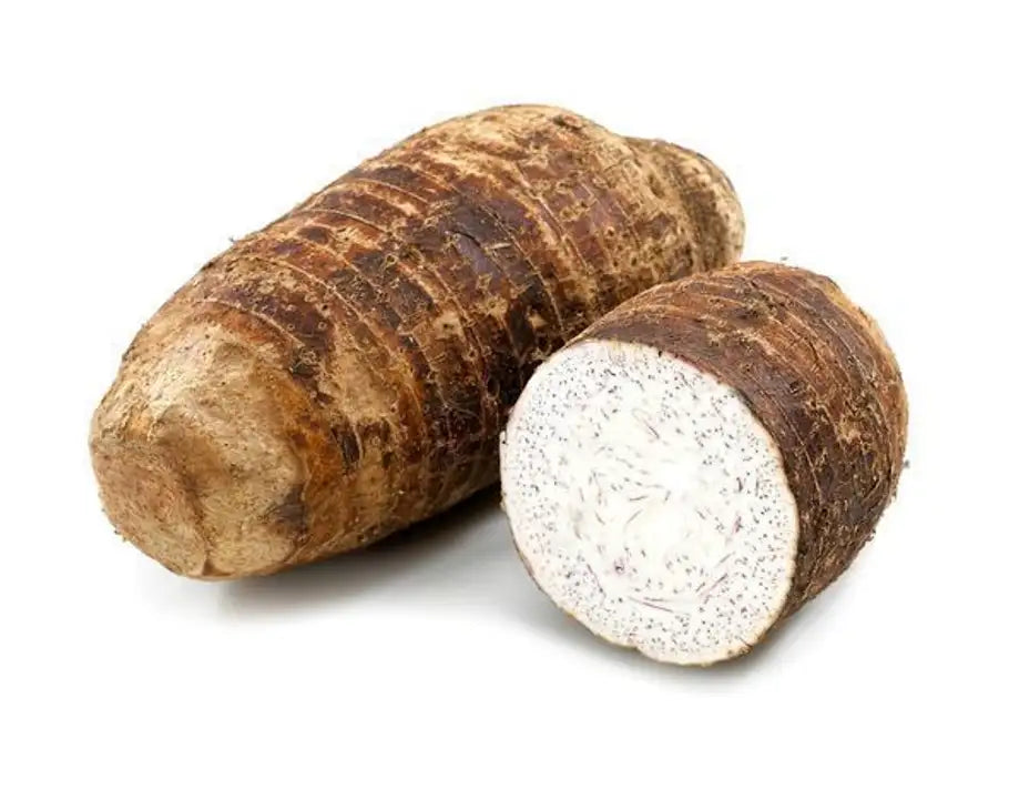 Malanga Coco