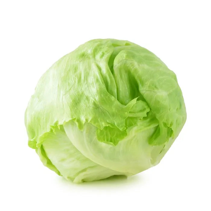 Iceberg Lettuce - Cello