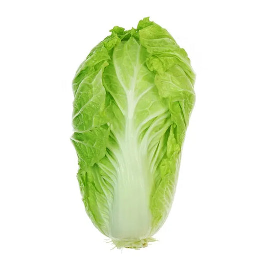 Romaine Lettuce