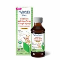 Hyland's Cough Syrup, All-in-One, Daytime, Organic Grape Flavor, Kids