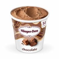 Haagen-Dazs Chocolate Ice Cream