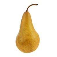 Bosc Pear