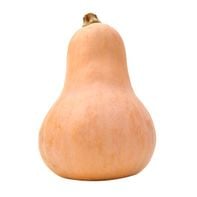 Organic Butternut Squash