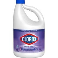 Clorox Bleach