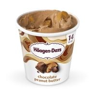 Haagen-Dazs Chocolate Peanut Butter Ice Cream