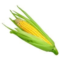 Yellow Sweet Corn