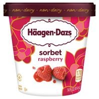 Haagen-Dazs Sorbet, Raspberry