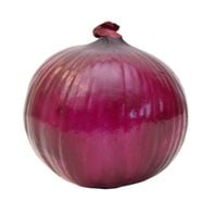 Red Onion Bag